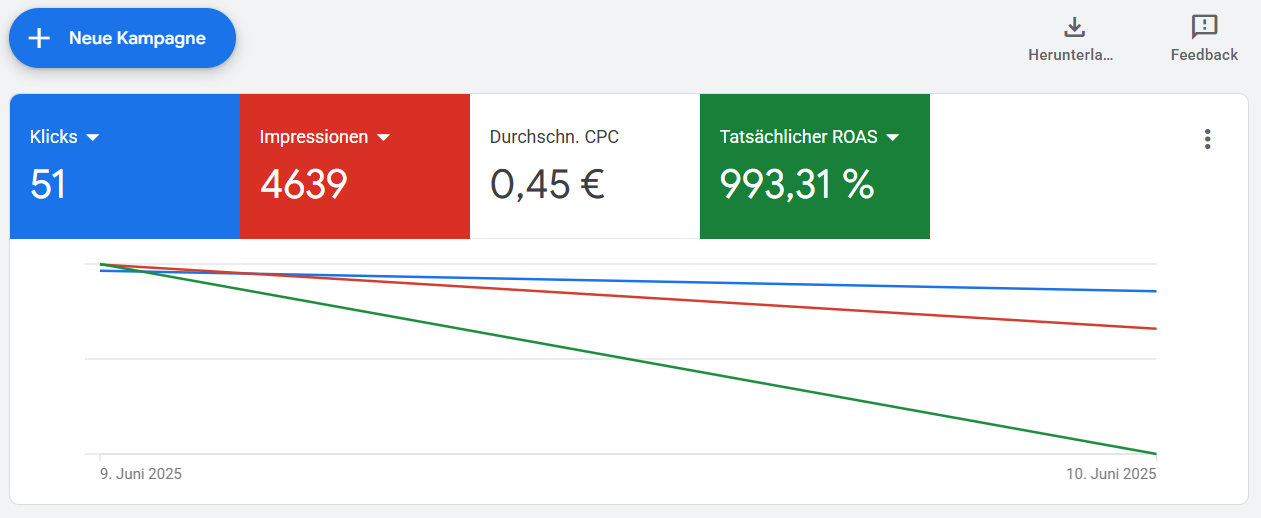 Referenz-Screenshot einer Google-Ads-Kampagne von Brockworks 3
