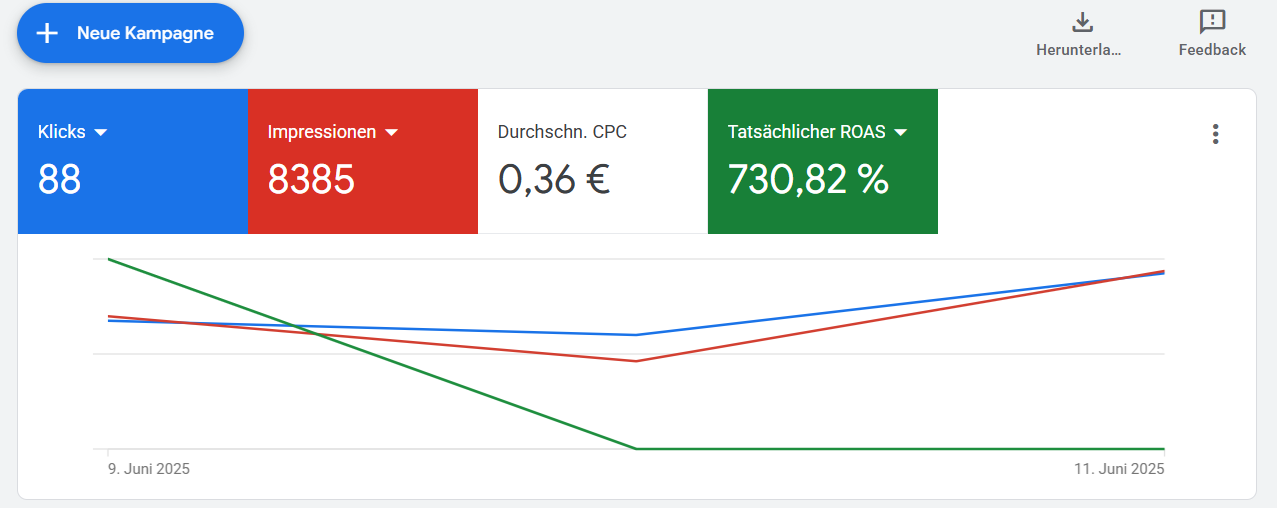 Referenz-Screenshot einer Google-Ads-Kampagne von Brockworks 2