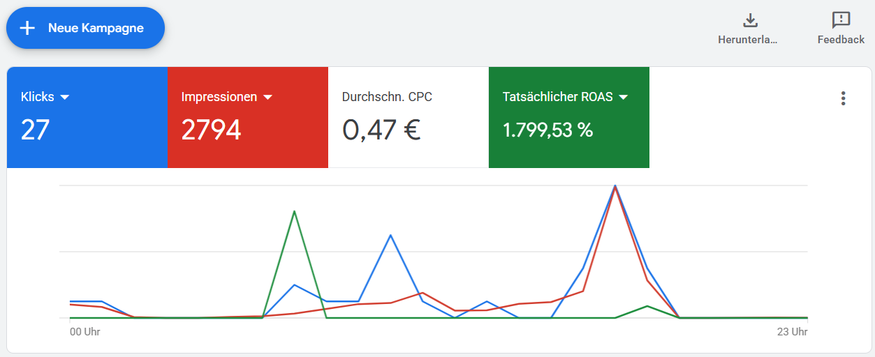 Referenz-Screenshot einer Google-Ads-Kampagne von Brockworks 1